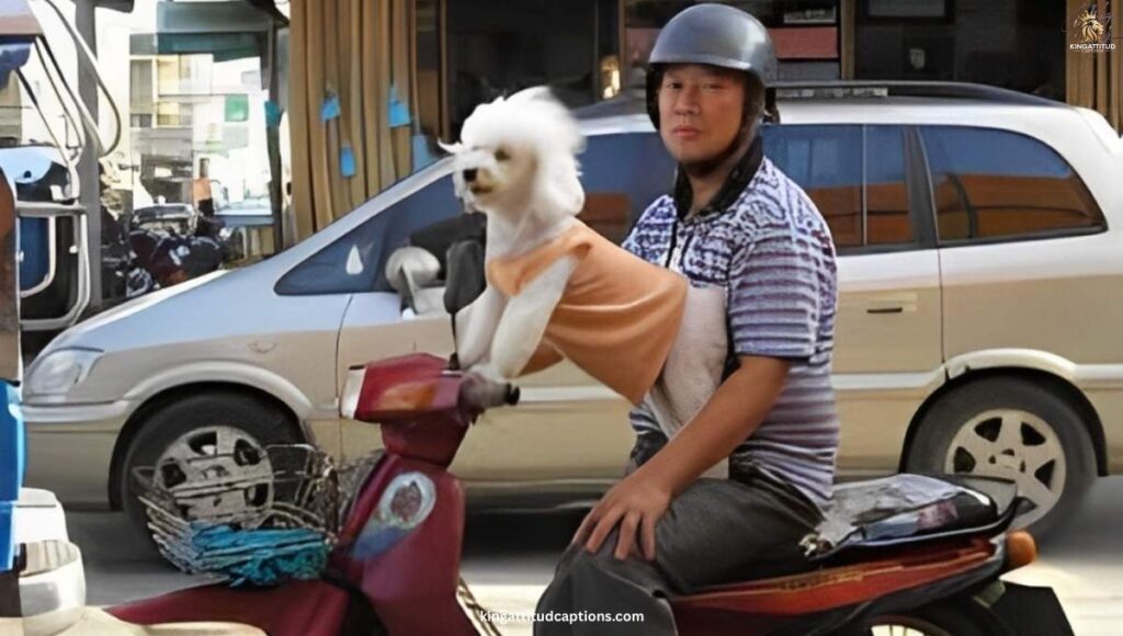 funny-thailand-captions