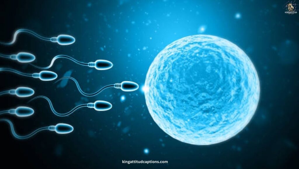How to Write Your Own Impregnation Captions
