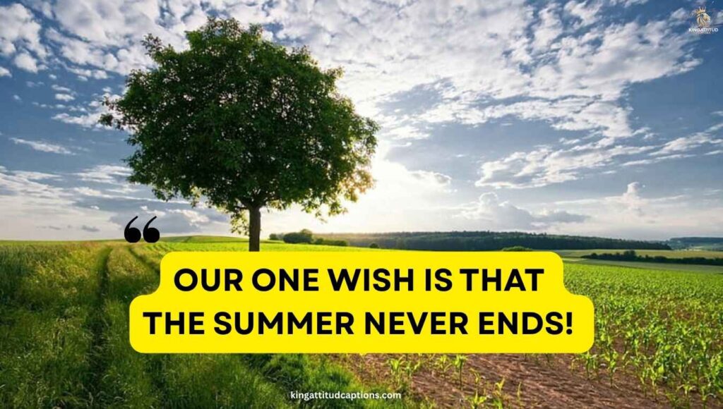 short-end-of-summer-captions